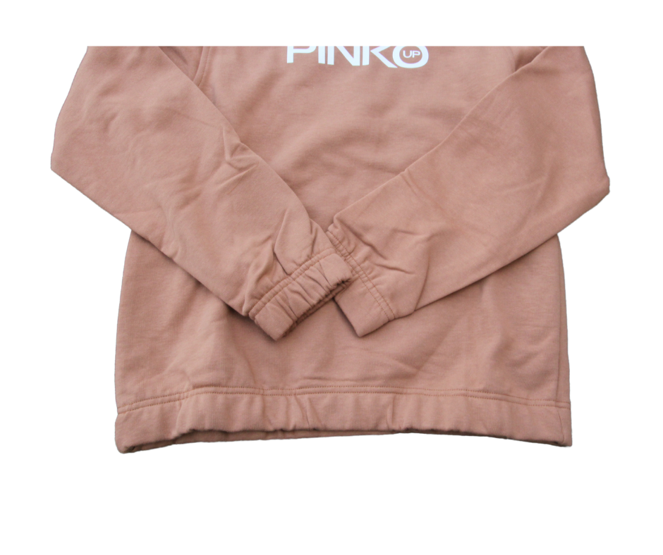 Felpa con cappuccio Pinko Marrone